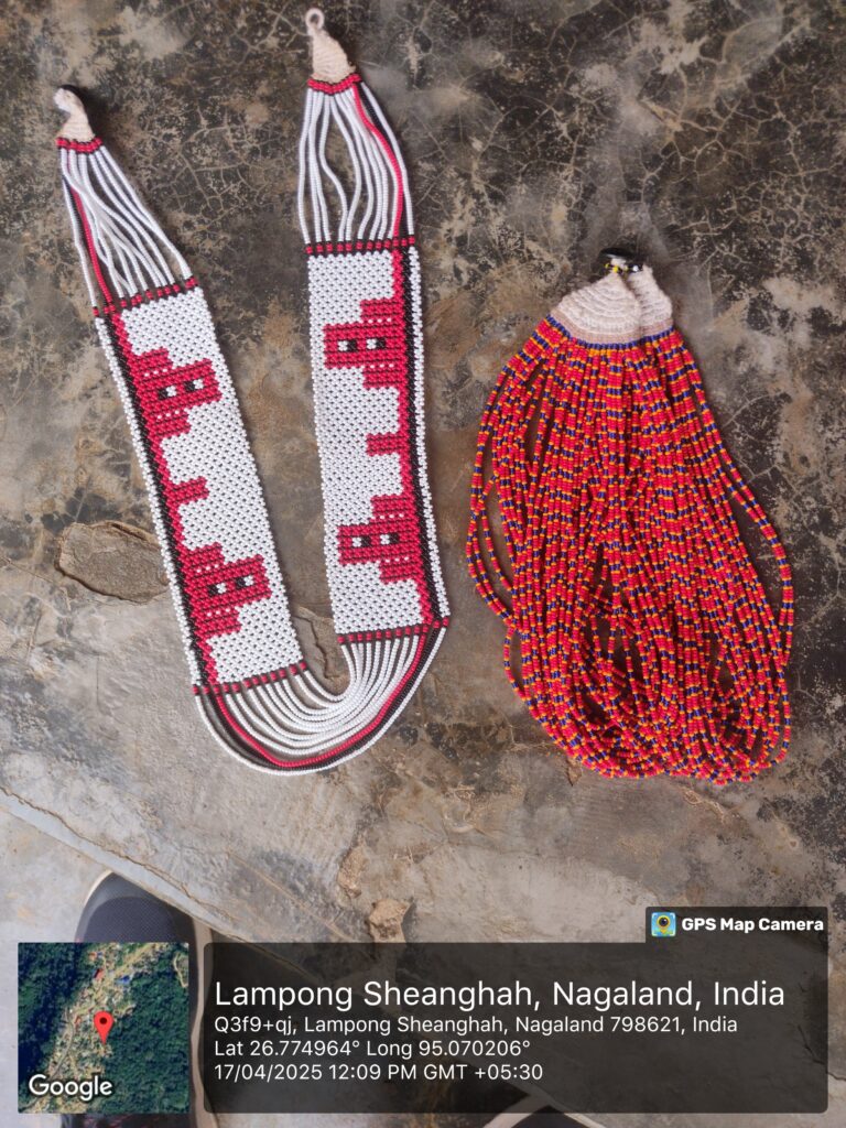 Strategic Interventions for Endogenous Development